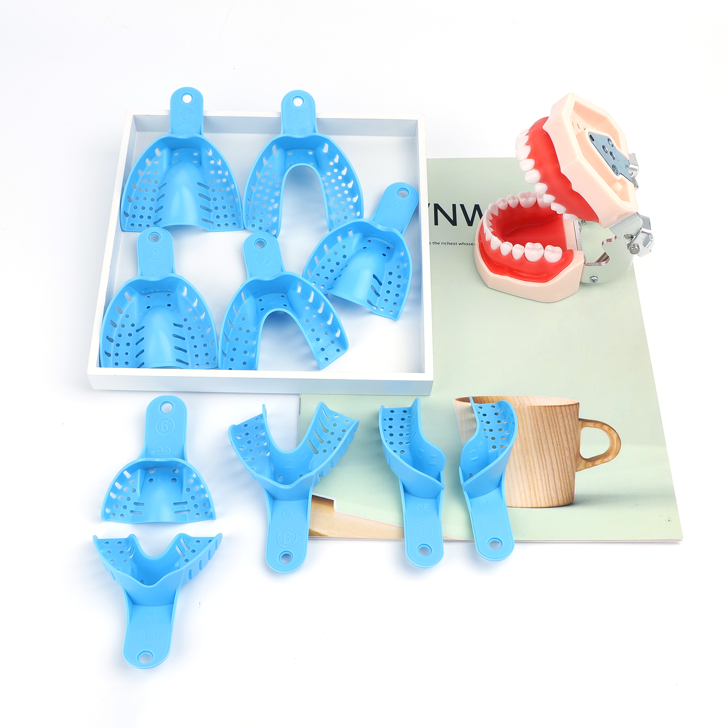 康田正/ktz 印模牙托盘(蓝色) 1付 小号